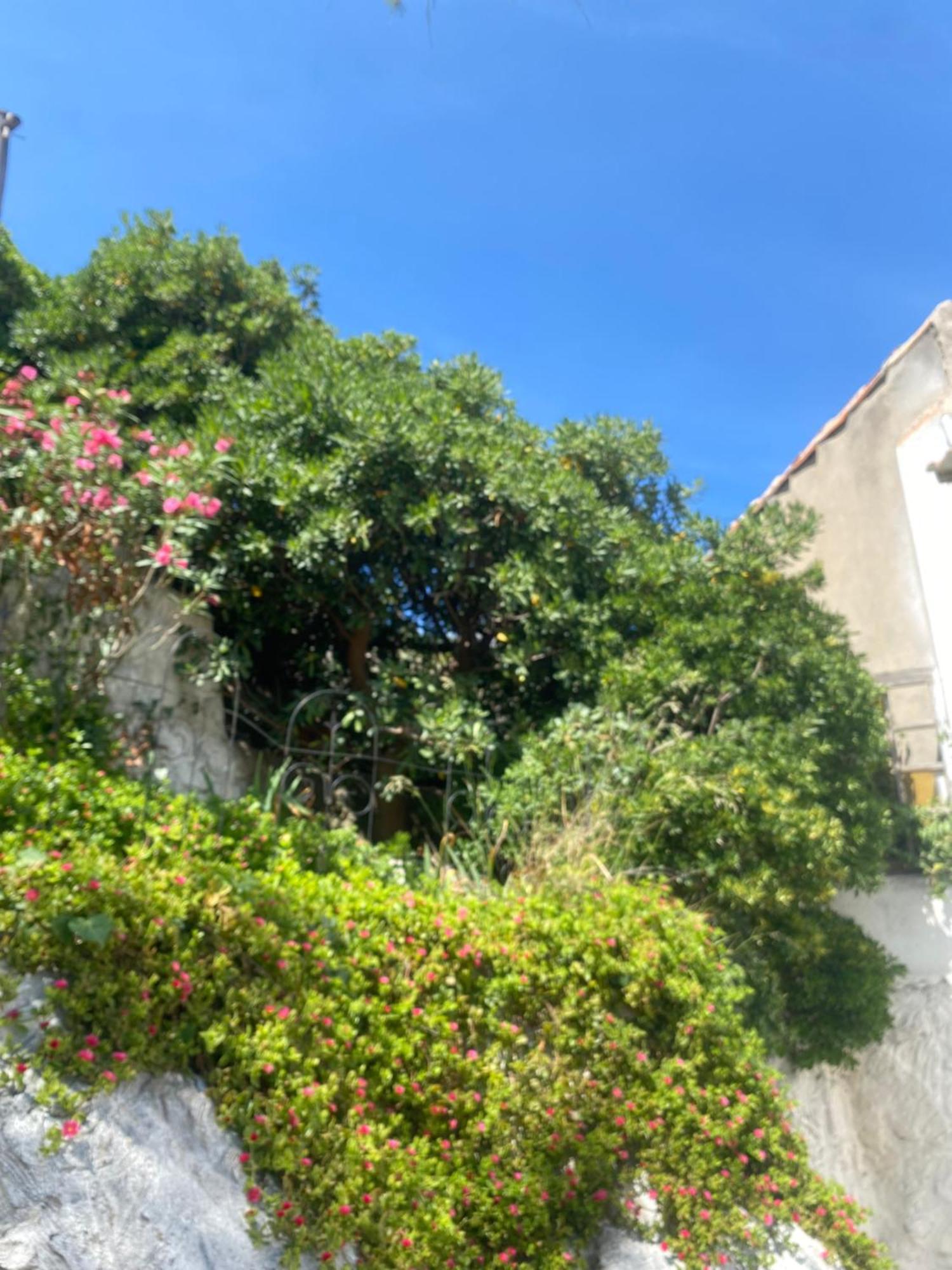 Au Coeur Du Parc National Du Massif Des Calanques, La Flibuste Des Goudes, Maison 2 Chambres, Climatisee, Jardins, Solarium, Proche Plage, Large Vue Mer Marsilya Dış mekan fotoğraf